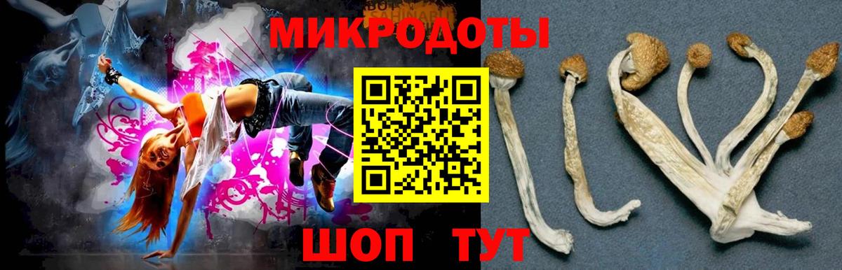 Галлюциногенные грибы MAGIC MUSHROOMS  Вход с VPN  Псилоцибиновые грибы Psilocybine cubensis  Куйбышев 