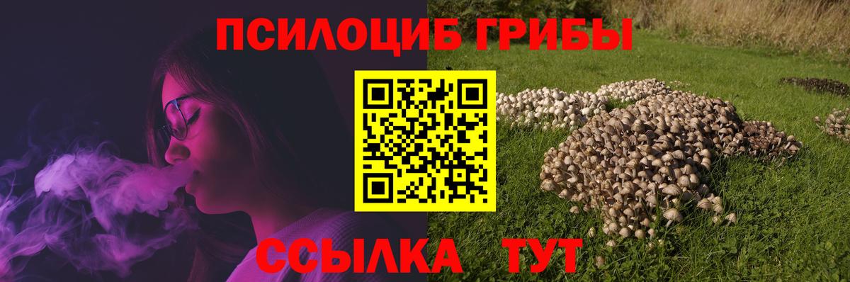 Псилоцибиновые грибы Magic Shrooms Куйбышев